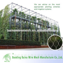 alibaba China stainless steel wire mesh green wall